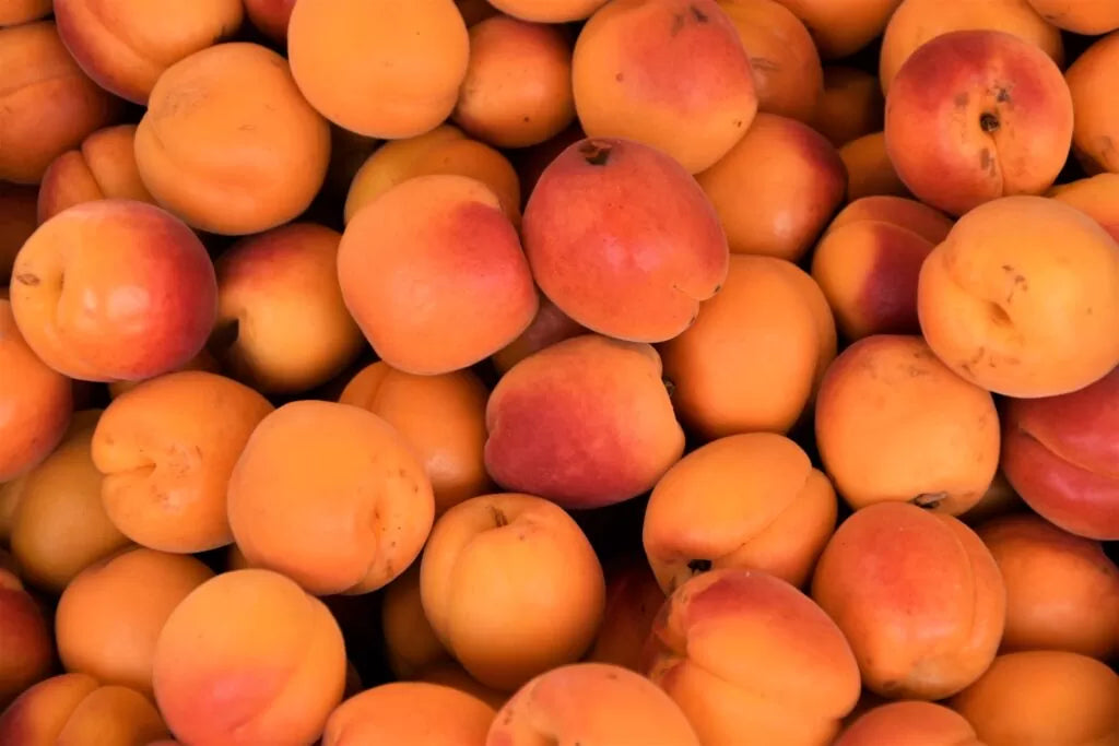 Juicy Apricots